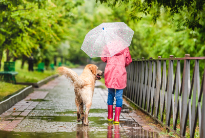 Everything You Need To Know About Walking Your Dog In The Rain