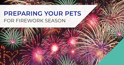 Preparing your pet for firework season