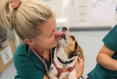 Dog's cancer scare ends with a happy 'tail' at Woodward Vets in Ashby de-la-Zouch